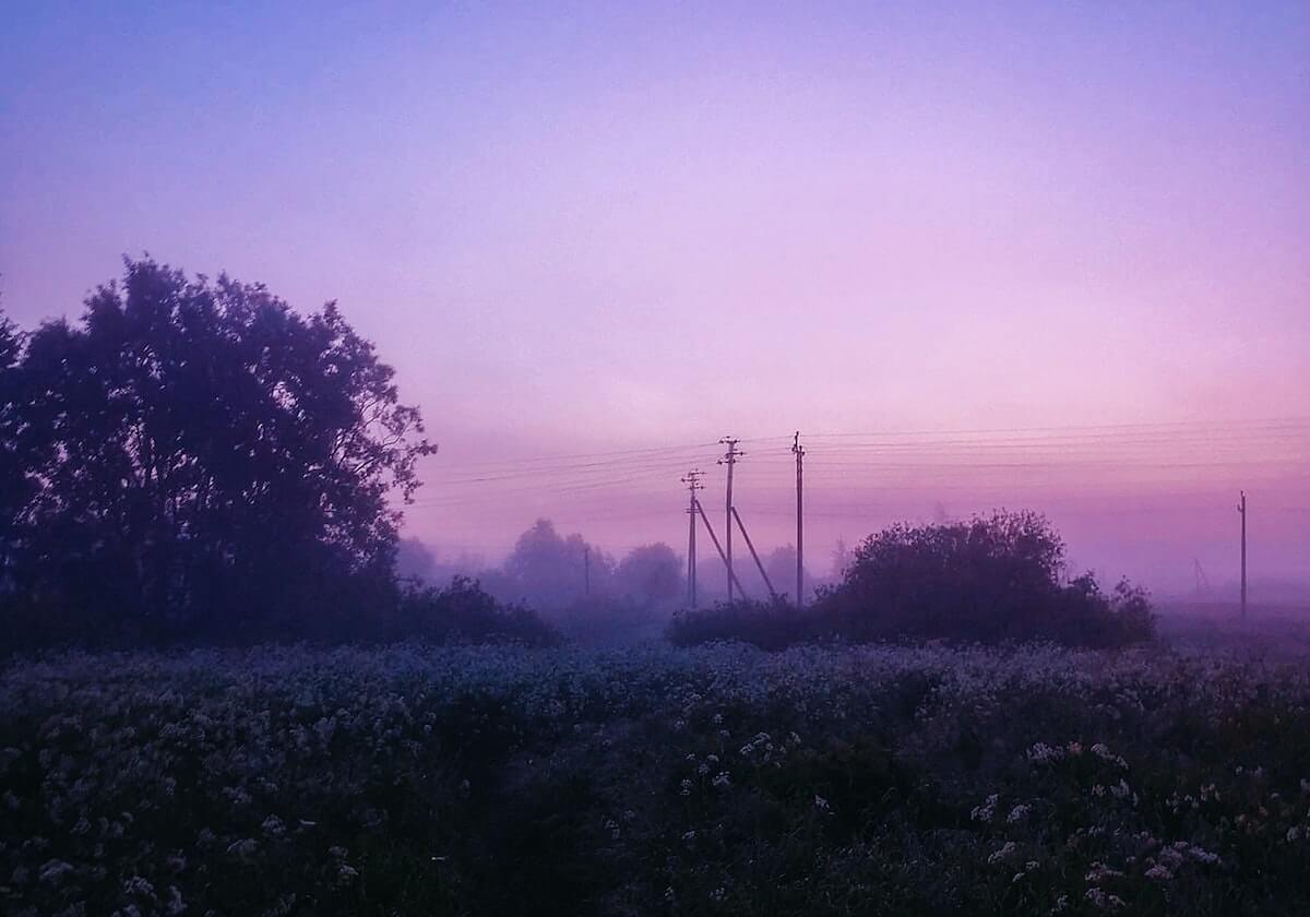 乐鱼体育：为运动爱好者打造的理想平台